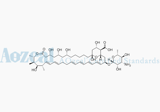 N0033.01
